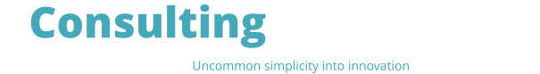 Consulting Engineering              Uncommon simplicity into innovation